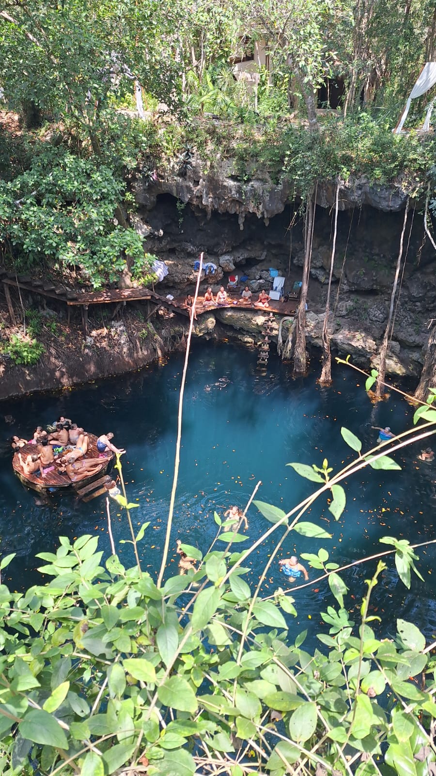Cenote visto desde lo alto, rodeado de selva